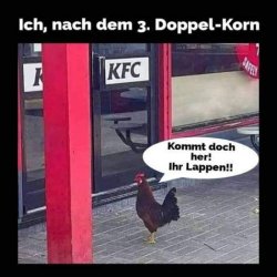 FB_IMG_1719512017685.jpg