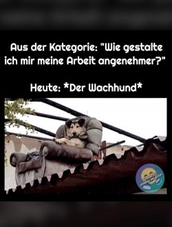 WhatsApp Bild 2024-06-27 um 11.18.11_fe2a1fe6.jpg