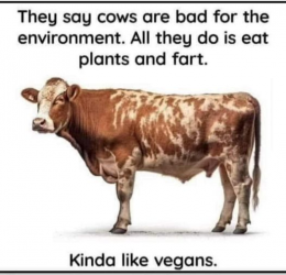 1719563816389.png