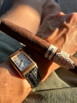 IMG_8510.jpeg IMG_8510.jpeg