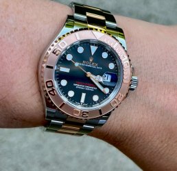 IMG_4177.jpeg IMG_4177.jpeg