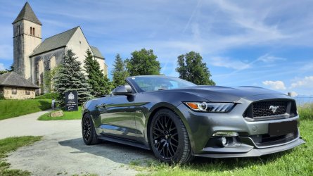 Mustang Magdalensberg.jpg