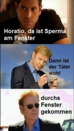 CSI Miami, kriminalistische Erkenntnis.jpg