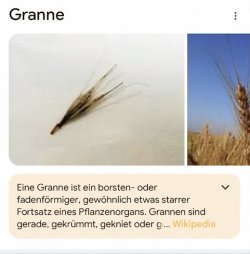 1720125349263.jpeg