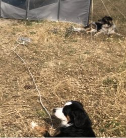 1720126096845.jpeg