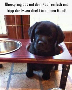 FB_IMG_1720212082704.jpg