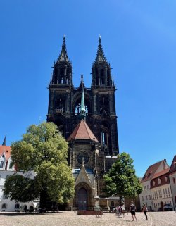 IMG_1175.jpeg