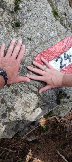IMG_20240709_114149_copy_900x2000.jpg