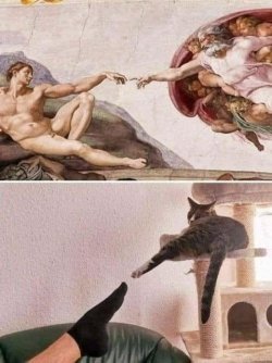 IMG_0148.jpeg