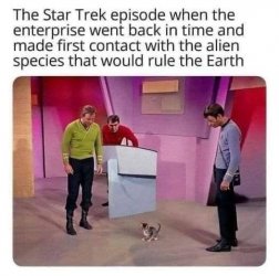 IMG_0147.jpeg