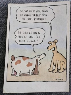 WhatsApp Bild 2024-07-09 um 14.44.45_cb209dbe.jpg