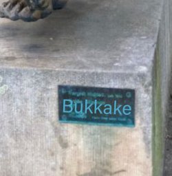 1000018795.jpg