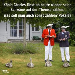 5923153-4b2f6f3fac4e43a19c4dc30d12a3c2c4.jpg