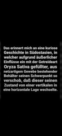 Sack Reis umfall.jpg