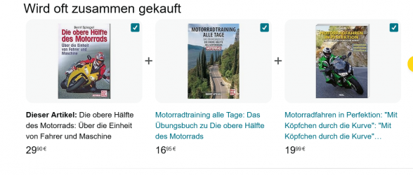 Screenshot 2024-07-18 at 11-14-56 Die obere Hälfte des Motorrads Über die Einheit von Fahrer u...png