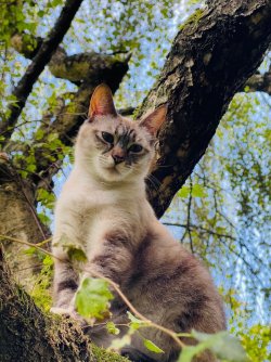 IMG_1458.jpeg