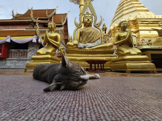 Chiang Mai.jpg