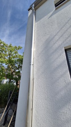 20240719_094513.jpg