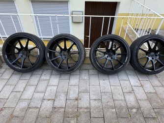 IMG_7035.jpeg IMG_7035.jpeg