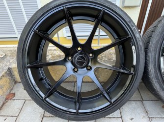 IMG_7031.jpeg IMG_7031.jpeg