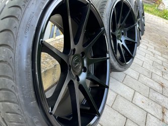 IMG_7036.jpeg IMG_7036.jpeg