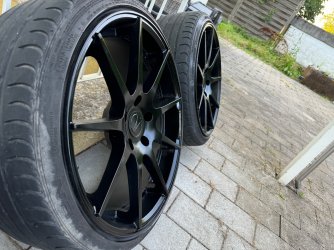 IMG_7037.jpeg IMG_7037.jpeg