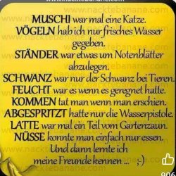 WhatsApp Bild 2024-07-22 um 13.44.31_fdaf79e1.jpg
