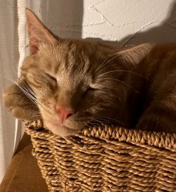 IMG_5952.jpeg