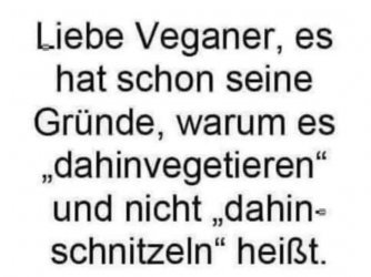 WhatsApp Bild 2024-07-31 um 12.36.32_62a16d25.jpg