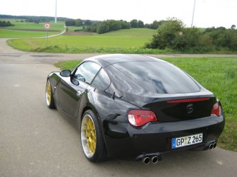 Z4 gold 006.jpg