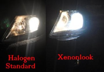 vergleich haloge&#1.JPG