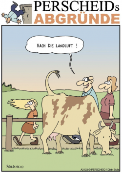 1723530697131.png