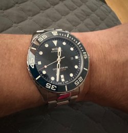 IMG_6032.jpeg IMG_6032.jpeg