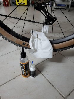 20240428_103515.jpg 20240428_103515.jpg