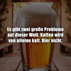 WhatsApp Bild 2024-08-17 um 09.37.07_f6dce4e2.jpg