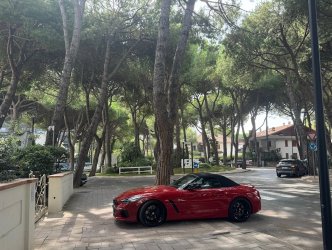 IMG_3806.jpeg