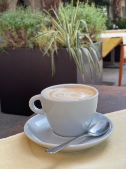 IMG_0351.jpeg