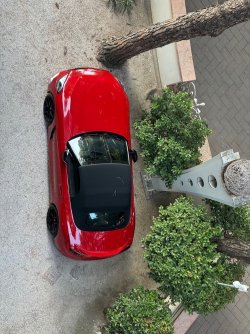 IMG_3821.jpeg