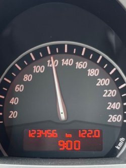 IMG_2984.jpeg