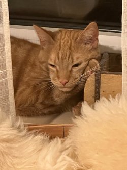 IMG_6194.jpeg