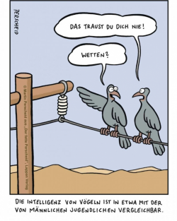 1725513216304.png