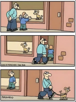 1725513865559.png