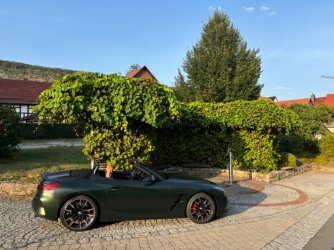 IMG_2707.jpeg