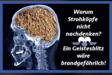 WhatsApp Bild 2024-09-12 um 11.22.03_4f1144be.jpg