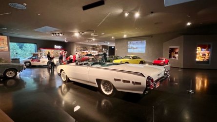 IMG_7034.jpeg