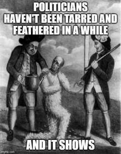 tar.jpg