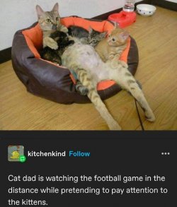 IMG_0380.jpeg