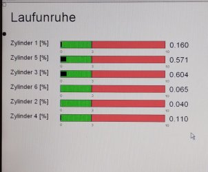 Laufunruhe_M54_20240919_092539519.jpg