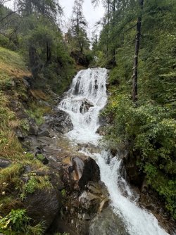 IMG_4835.jpeg