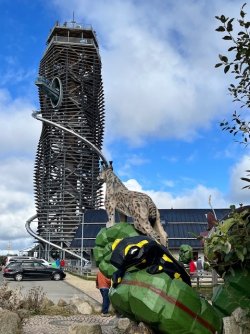 IMG_7191.jpeg
